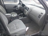 Ford Escape Xlt 1FMYU93167KA63744 снимка