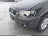 Ford Escape Xlt 1FMYU93167KA63744 снимка