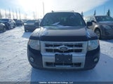 Ford Escape Limited 1FMCU9EGXAKD13361 снимка