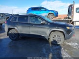 Jeep Cherokee Trailhawk 1C4PJMBX1MD110924 снимка