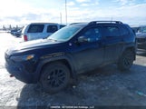 Jeep Cherokee Trailhawk 1C4PJMBX1MD110924 снимка