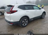 Honda Cr-V 2HKRW2H23MH230101 снимка