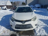 Toyota Corolla Le 2T1BURHE1FC376996 снимка