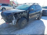 Jeep Cherokee Trailhawk 1C4PJMBX7LD545963 снимка