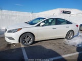Hyundai Sonata 5NPE24AFXFH253588 снимка