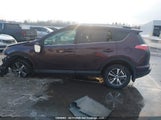 Toyota Rav4 2T3RFREV5HW664185 снимка