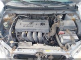 Toyota Corolla Ce/Le/S 2T1BR32E46C660808 снимка