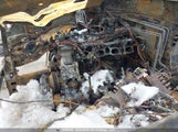Toyota Tacoma Access Cab 5TFUX4EN7FX031965 снимка