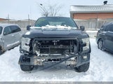 Ford F-150 Xlt 1FTEW1EF4GFC62246 снимка