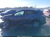 Toyota Rav4 Le 2T3BFREV5HW636629 снимка
