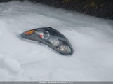 Kia Sportage KNDPM3AC5H7150850 снимка