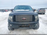 Ford F-150 Fx4 1FTFW1ET6CFB04317 снимка