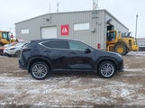 Lexus Nx 350 Premium 2T2GGCEZ5SC074649 снимка