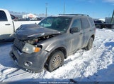 Ford Escape Xlt Automatic 1FMCU9DGXAKD22644 fotografie