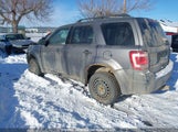 Ford Escape Xlt Automatic 1FMCU9DGXAKD22644 снимка