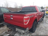 Ford F150 Supercrew 1FTFW1ET4BFC54358 снимка