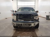 Ford F-150 Xlt 1FTFW1EF0DKD32980 снимка