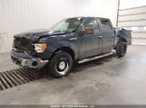 Ford F-150 Xlt 1FTFW1EF0DKD32980 снимка