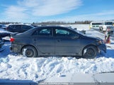 Toyota Corolla 2T1BU4EE1DC927562 снимка