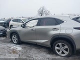 Lexus Nx 300 JTJBARBZ8K2185487 снимка