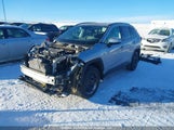 Toyota Rav4 Xle/Xle Premium 2T3R1RFVXLW129844 fotografie