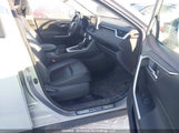 Toyota Rav4 Xle/Xle Premium 2T3R1RFVXLW129844 photo