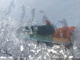 Chevrolet Colorado 1GCHSBEA7G1262399 снимка
