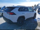 Toyota Rav4 Xle 2T3R1RFVXMC176889 снимка