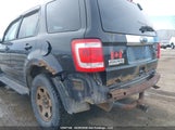 Ford Escape Limited 1FMCU9EGXBKA00943 снимка