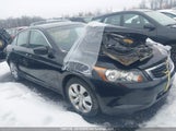 Honda Accord Ex-L 1HGCP26818A816420 снимка