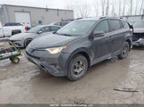 Toyota Rav4 Xle 2T3WFREV7HW385579 снимка