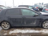 Volkswagen Golf 2.0 Tdi Comfortline/2.0 Tdi Highline/2.0 Tdi Trendline 3VWRA7AU1FM028861 fotografie