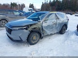 Honda Cr-V Sport/Sport-B 2HKRS4H58PH108971 fotografie
