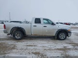 Dodge Ram 1D7RV1GT9AS166740 снимка