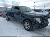 Ford F150 Super Cab 1FTFX1CF4EFB04989 fotografie