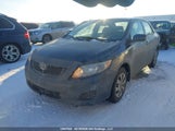 Toyota Corolla Ce 2T1BU4EE6AC484661 снимка