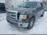 Ford F-150 Xlt 1FTFW1EF8EFC75146 снимка