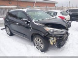 Hyundai Tucson Premium KM8J3CA42HU531988 снимка