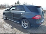 Mercedes-Benz Ml 350 Bluetec 4Matic 4JGDA2EB4EA417431 снимка