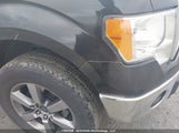 Ford F150 Super Cab 1FTFX1EF6DFC29519 снимка