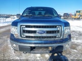 Ford F-150 Xlt 1FTFX1EF8EKG38534 снимка
