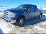 Ford F-150 Xlt 1FTFX1EF8EKG38534 снимка