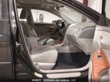 Toyota Corolla S/Le/Xle 2T1BU4EE0AC204443 снимка