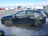Lexus Ux 250H JTHP9JBH4M2044394 снимка