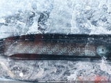 Honda Civic Lx 2HGFB2F48EH032239 снимка