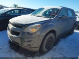 Chevrolet Equinox Ls 2CNALBEW8A6409162 fotografie