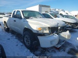 Ram Dakota Sxt 1D7RE3BK6BS594759 снимка