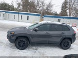 Jeep Cherokee Trailhawk 1C4PJMBX0LD598018 снимка
