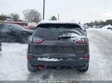 Jeep Cherokee Trailhawk 1C4PJMBX0LD598018 снимка
