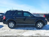 Ford Escape Xlt 1FMCU93749KB21528 снимка